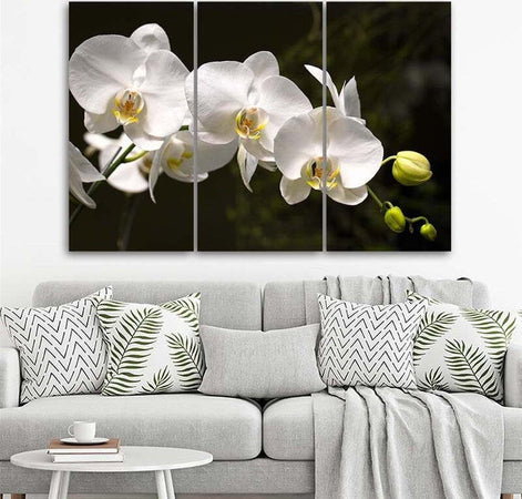Quadri-Quadro-Multipannello-Fiore-di-orchidea-bianca