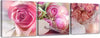 Quadri-Quadro-Multipannello-Rose-rosa-vintage