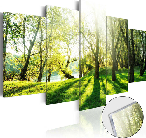 Quadri-su-vetro-acrilico-Green-Glade-[Glass]