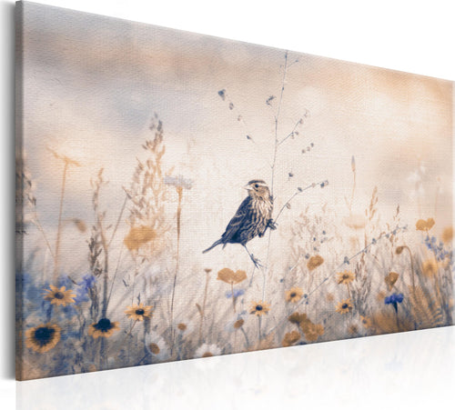 Quadro-August-Melody