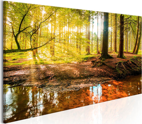 Quadro-Autumnal-Reverie