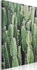 Quadro-Cactus-Garden-(1-Part)-Vertical