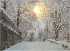 Quadro con LED luminosi Paesaggio innevato con alberi invernali, dipinto da 78 cm Casa e cucina/Decorazioni per interni/Addobbi e decorazioni per ricorrenze/Decorazioni natalizie/Ghirlande e corone MagiediNatale.it - Altamura, Commerciovirtuoso.it