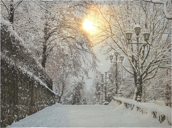 Quadro con LED luminosi Paesaggio innevato con alberi invernali, dipinto da 78 cm Casa e cucina/Decorazioni per interni/Addobbi e decorazioni per ricorrenze/Decorazioni natalizie/Ghirlande e corone MagiediNatale.it - Altamura, Commerciovirtuoso.it