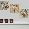 QUADRO DECORATIVO 3 PEZZI IN MDF FIORI GRIGIO, VERDE Casa e cucina/Decorazioni per interni/Arte/Poster e stampe Scontolo.net - Potenza, Commerciovirtuoso.it