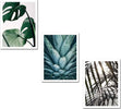 QUADRO DECORATIVO 3 PEZZI IN MDF NATURA Casa e cucina/Decorazioni per interni/Arte/Poster e stampe Scontolo.net - Potenza, Commerciovirtuoso.it