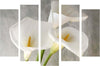 Quadro Decorativo 5 Pezzi In Canvas Multicolore 105 x 70 cm Casa e cucina/Decorazioni per interni/Arte/Poster e stampe Scontolo.net - Potenza, Commerciovirtuoso.it