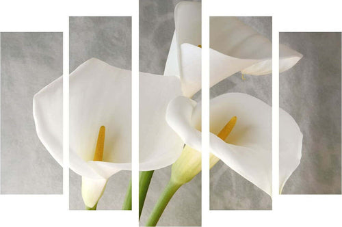 Quadro Decorativo 5 Pezzi In Canvas Multicolore 105 x 70 cm Casa e cucina/Decorazioni per interni/Arte/Poster e stampe Scontolo.net - Potenza, Commerciovirtuoso.it