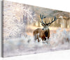 Quadro-Deer-in-the-Cold