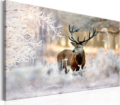 Quadro-Deer-in-the-Cold