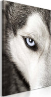 Quadro-Dog's-Look-(1-Part)-Vertical