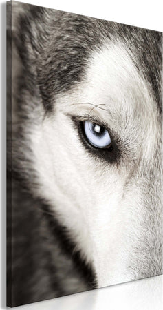 Quadro-Dog's-Look-(1-Part)-Vertical