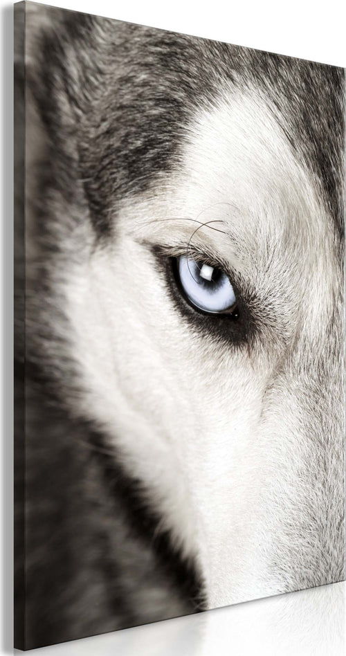 Quadro-Dog's-Look-(1-Part)-Vertical