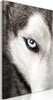 Quadro-Dog's-Look-(1-Part)-Vertical