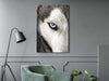 Quadro-Dog's-Look-(1-Part)-Vertical