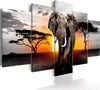 Quadro-Elephant-at-Sunset
