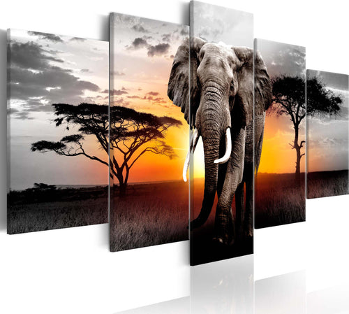 Quadro-Elephant-at-Sunset