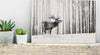 Quadro-fai-da-te-Deer-in-the-Snow