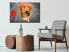 Quadro-fai-da-te-Dog-With-Rose