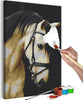 Quadro-fai-da-te-Horse-Portrait