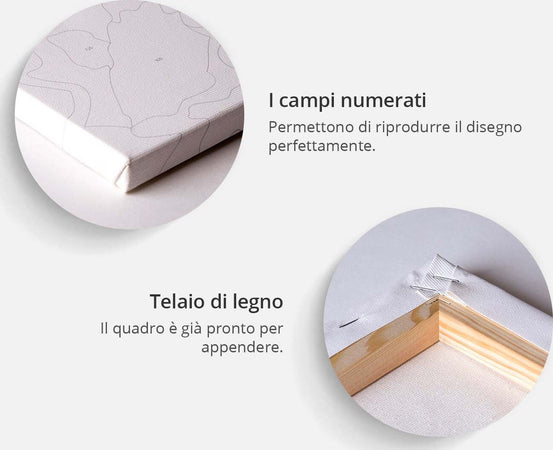 Quadro-fai-da-te-Ninfea