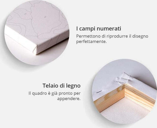 Quadro-fai-da-te-Ragazza-indiana