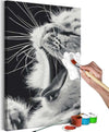 Quadro-fai-da-te-Yawning-Kitten