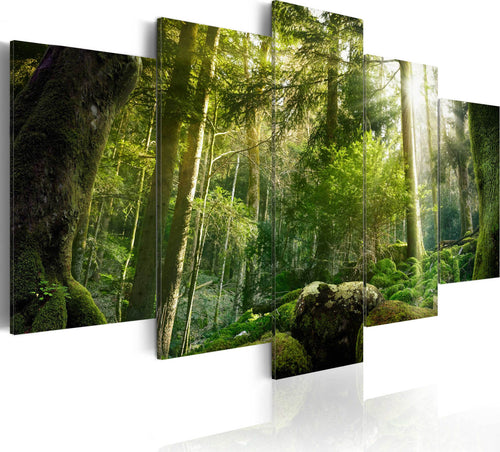 Quadro-Fascino-della-foresta