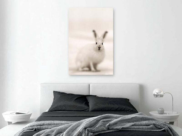 Product Image-1