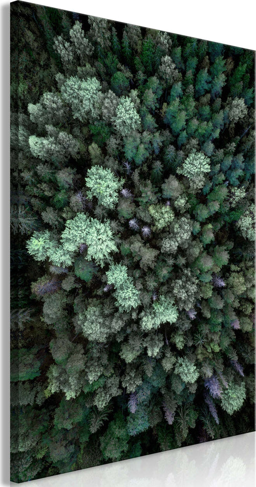 Quadro-Flying-Over-Forest-(1-Part)-Vertical