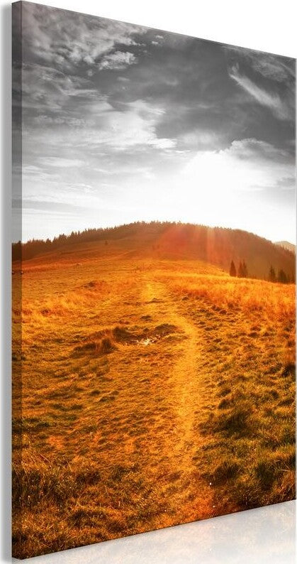 Product Image-0