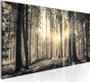 Quadro-Il-sole-del-bosco