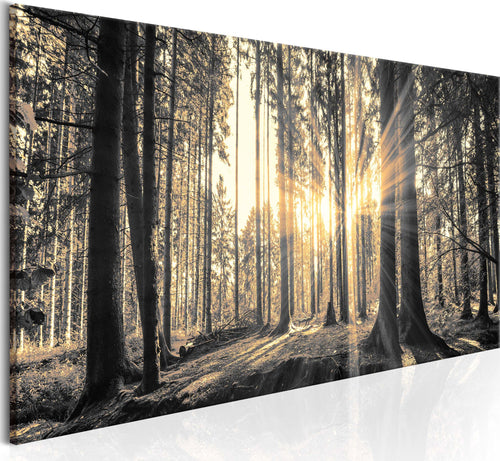 Quadro-Il-sole-del-bosco