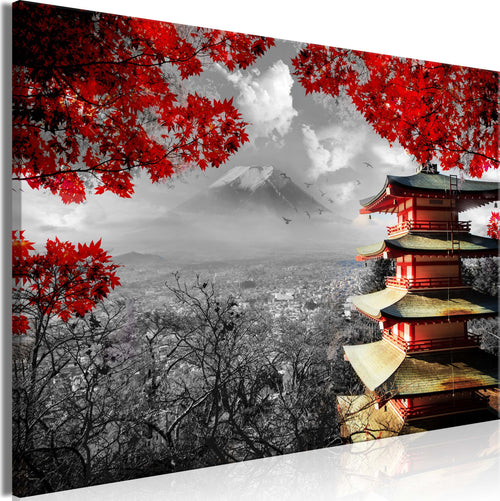 Quadro-Japanese-Adventure-(1-Part)-Wide