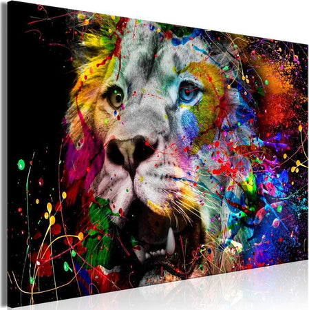 Product Image-0