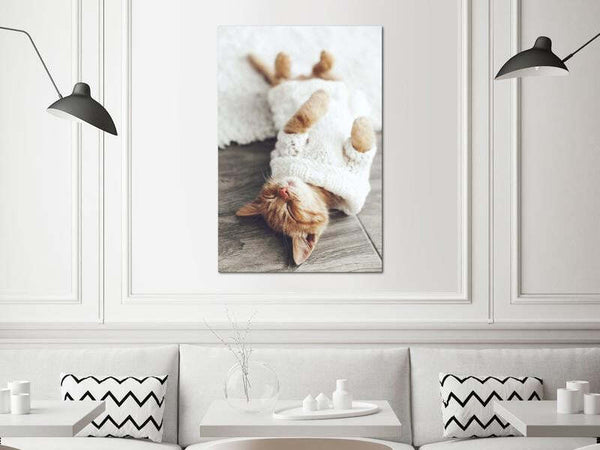 Product Image-1