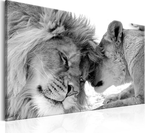 Quadro-Lion's-Love