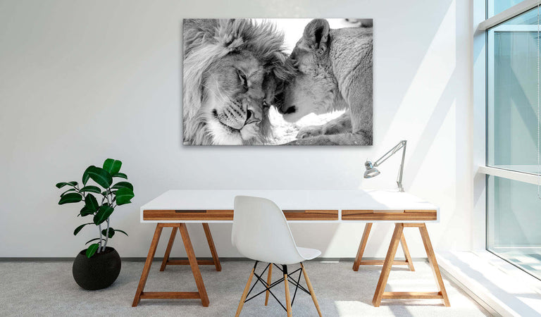 Quadro-Lion's-Love