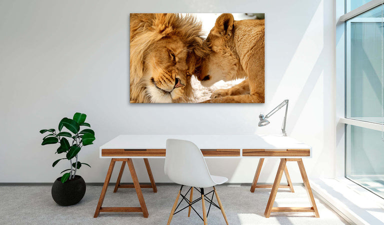 Quadro-Love's-Secret