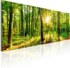 Quadro-Magic-Forest
