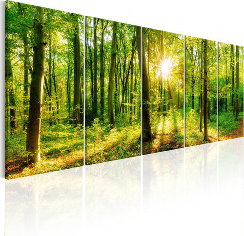 Quadro-Magic-Forest