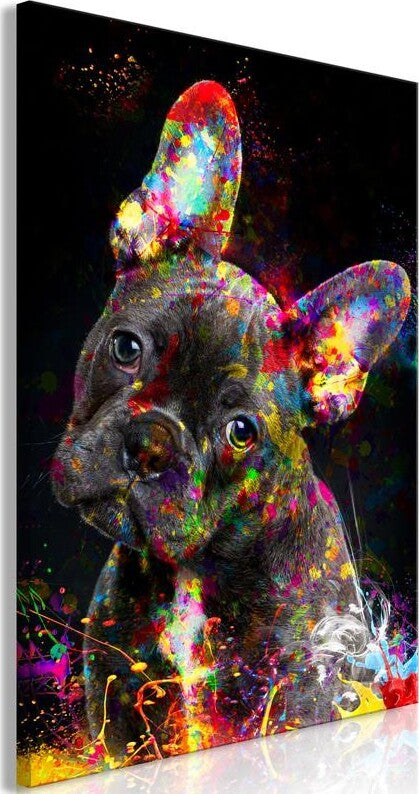 Product Image-0