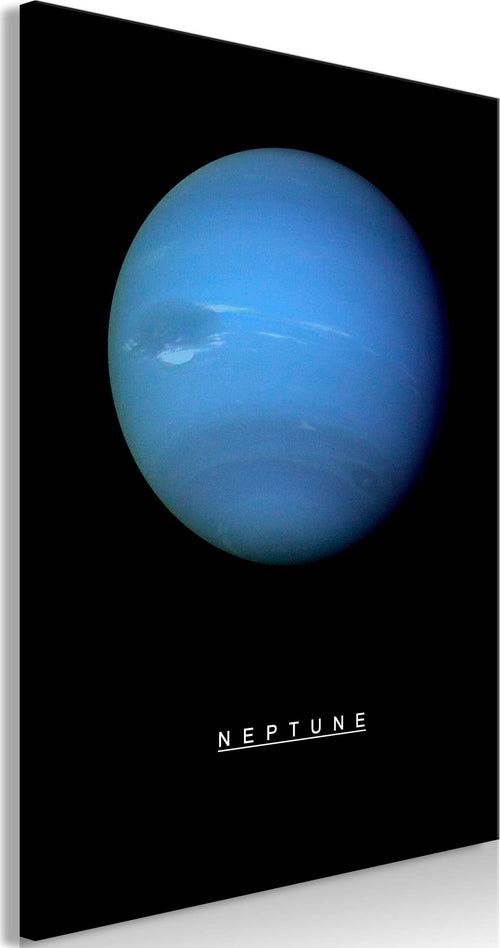 Quadro-Neptune-(1-Part)-Vertical