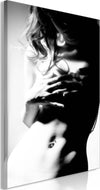 Quadro-Perfect-Waist-(1-Part)-Vertical