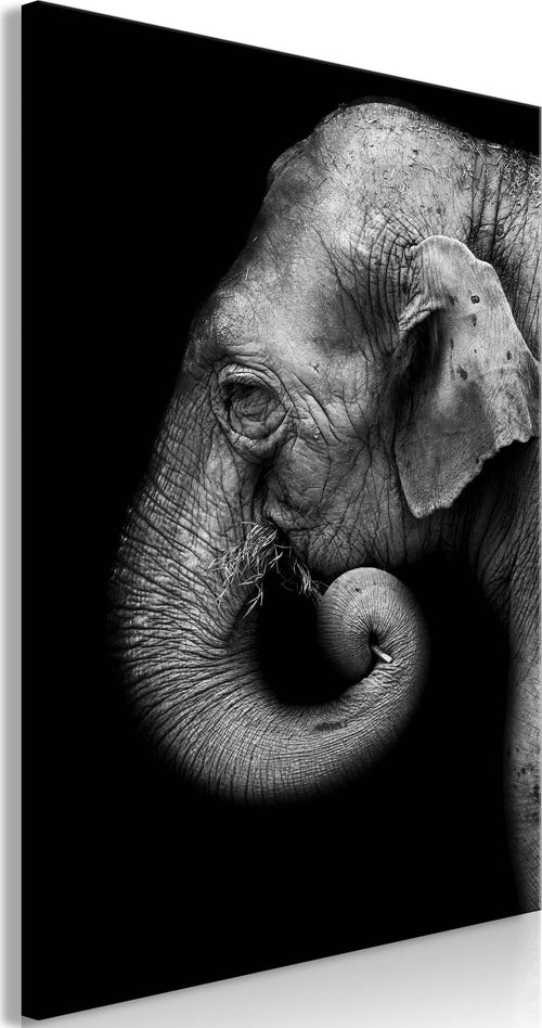 Quadro-Portrait-of-Elephant-(1-Part)-Vertical