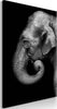 Quadro-Portrait-of-Elephant-(1-Part)-Vertical