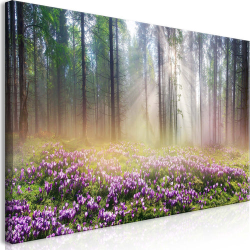 Quadro-Purple-Meadow-(1-Part)-Wide