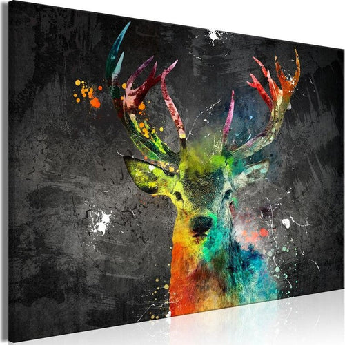 Product Image-0