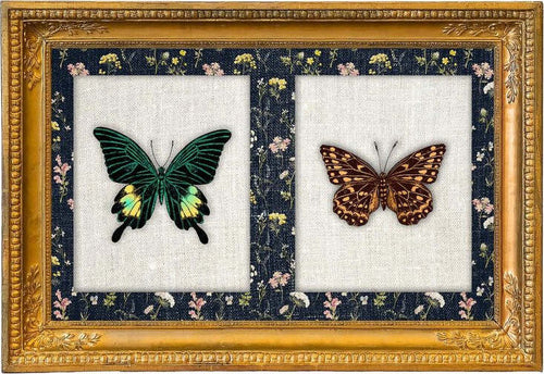 Quadro Rettangolare con farfalle 35x50 cm Casa e cucina/Decorazioni per interni/Arte/Poster e stampe Scontolo.net - Potenza, Commerciovirtuoso.it