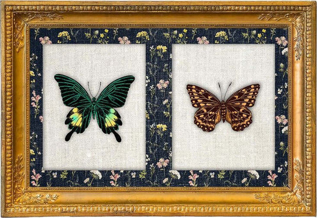 Quadro Rettangolare con farfalle 35x50 cm Casa e cucina/Decorazioni per interni/Arte/Poster e stampe Scontolo.net - Potenza, Commerciovirtuoso.it